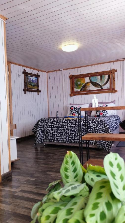 Hostal Host Patagonia Punta Arenas Dış mekan fotoğraf